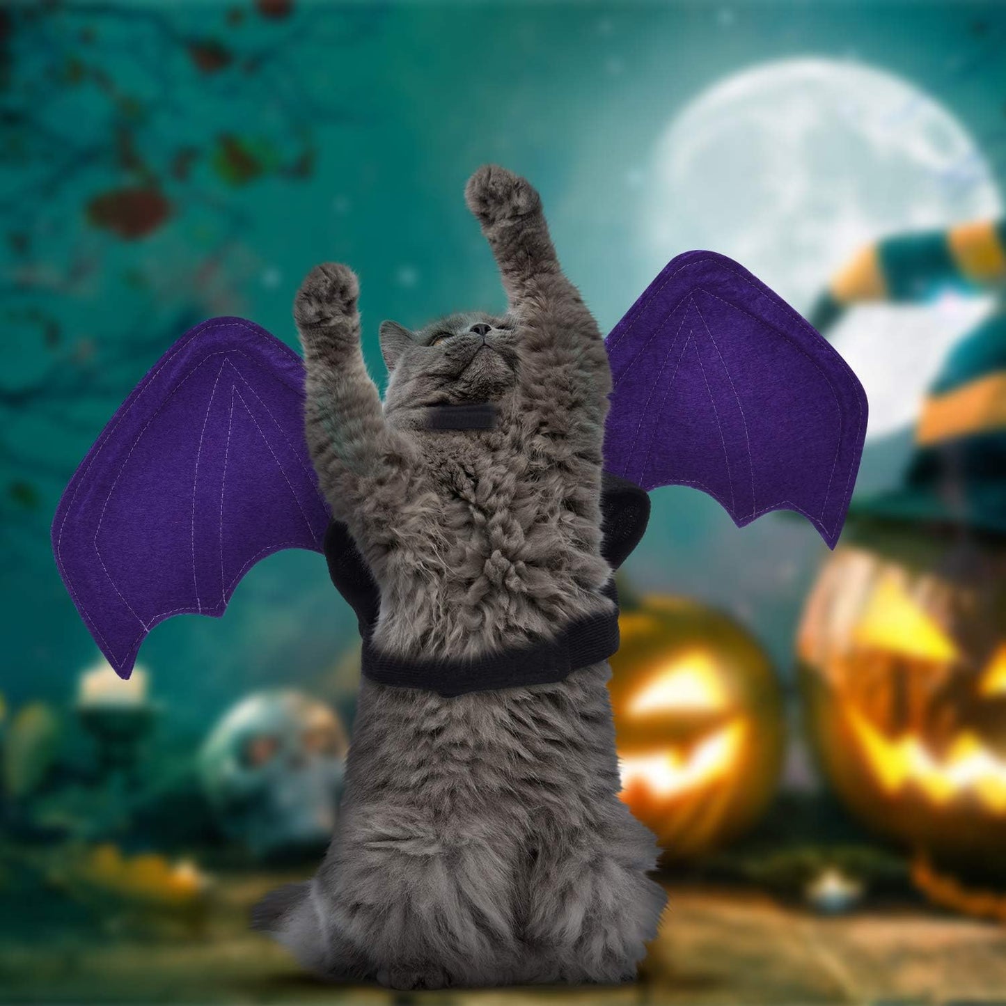 3 Pieces Halloween Pet Cat Bat for Puppy Cat Dog Bat Costume Halloween Cosplay Bat Costume Halloween Party Decoration (Medium)