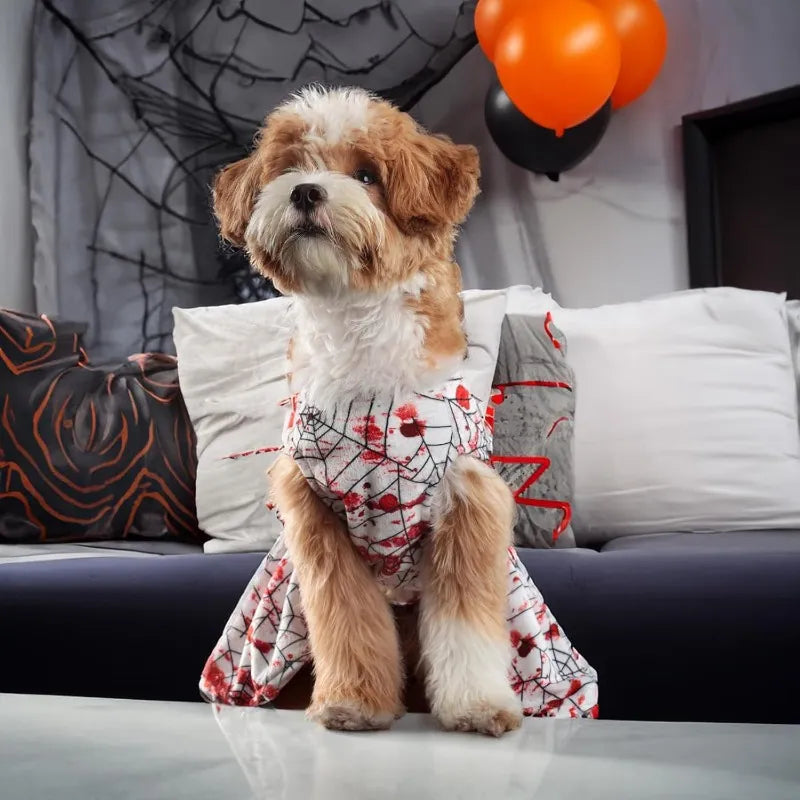 Dog Halloween Dress Skeleton Halloween Costumes for Dogs Funny Halloween Puppy Dress for Small Dogs Cats S