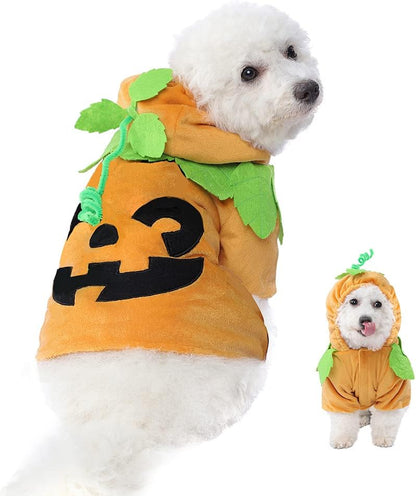 Pumpkin Pet Costume