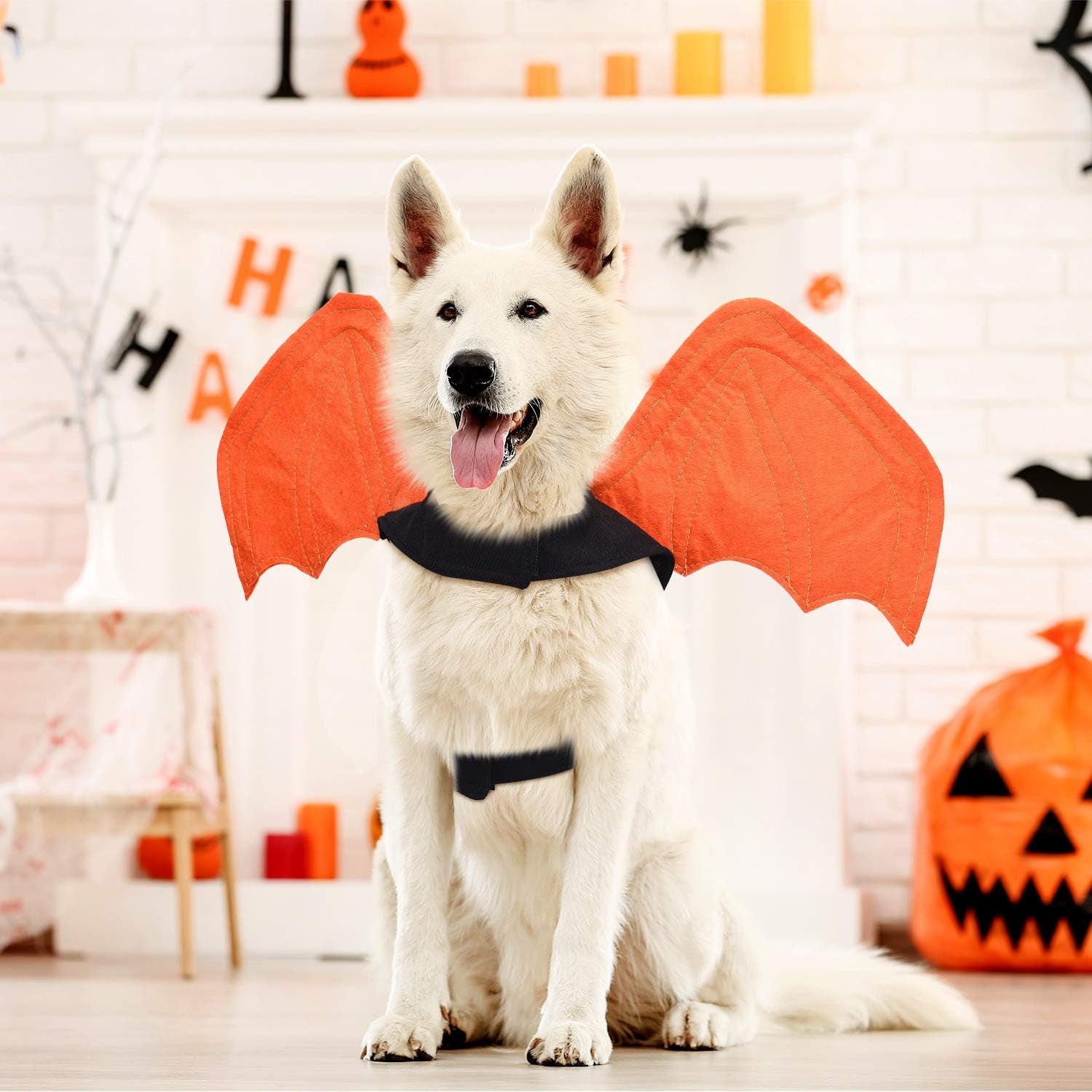 3 Pieces Halloween Pet Cat Bat for Puppy Cat Dog Bat Costume Halloween Cosplay Bat Costume Halloween Party Decoration (Medium)